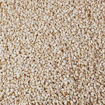 SEMI DI SESAMO NATURALE MARRONE KG 25